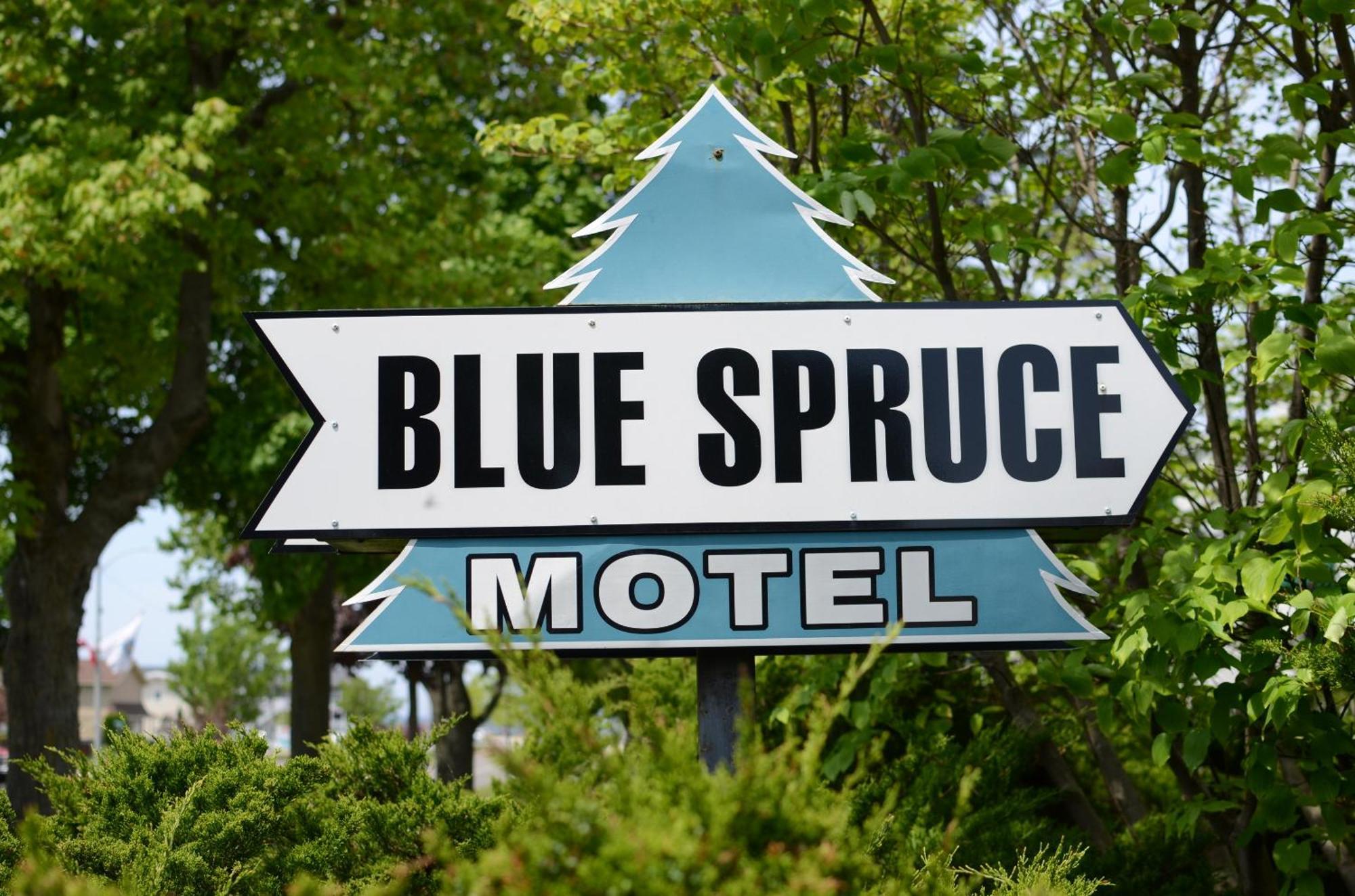 Ludington Blue Spruce Inn Buitenkant foto